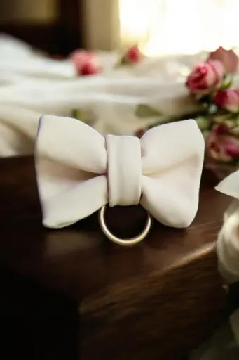 Choker Noeud Papillon Anneau de Minuit